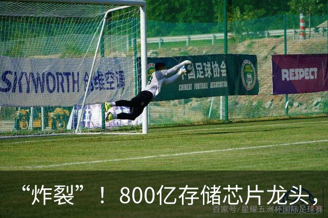“炸裂”！800亿存储芯片龙头，第三季度净利润增长超2900%