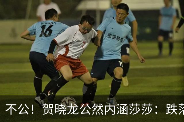 不公！贺晓龙公然内涵莎莎：跌落河北一姐之位，背后竟遭遇网络黑恶势力攻击
