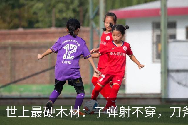 世上最硬木材：子弹射不穿，刀斧劈不烂，却被我国大量收购
