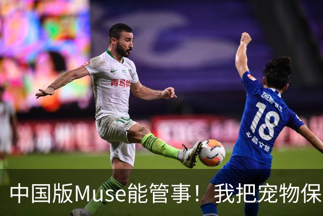 中国版Muse能管事！我把宠物保单、双11算价和周末旅行全交给了灵光2.0