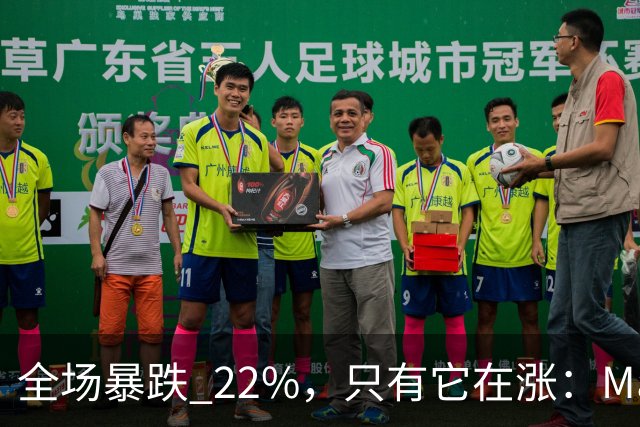 全场暴跌 22%，只有它在涨：Mate 80 的 900 万台是谁买的？