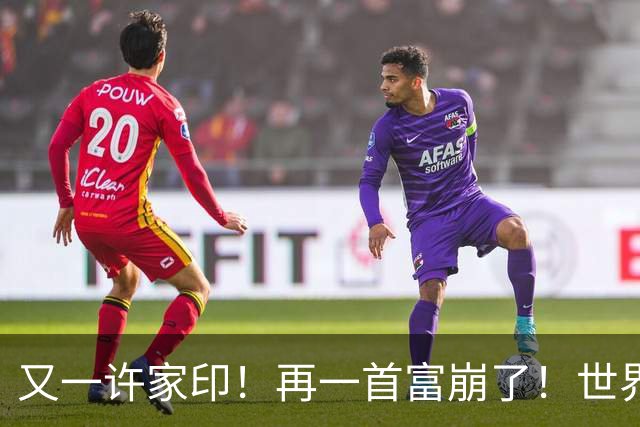 又一许家印！再一首富崩了！世界500强是骗来的，千亿帝国归零