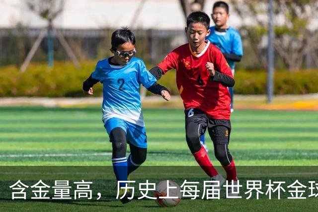 含金量高，历史上每届世界杯金球奖得主都保底金球奖前五名