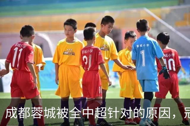 成都蓉城被全中超针对的原因，冠军球队被研究，针对是很正常的事