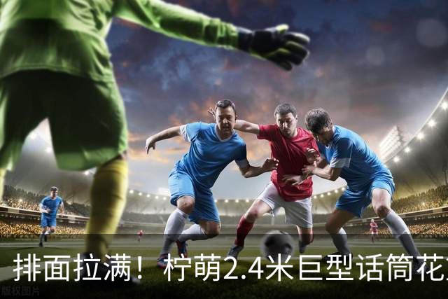 排面拉满！柠萌2.4米巨型话筒花篮，送到肖战演唱会现场