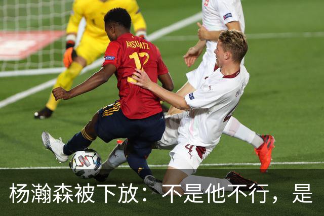 杨瀚森被下放：不是他不行，是“型号”不对