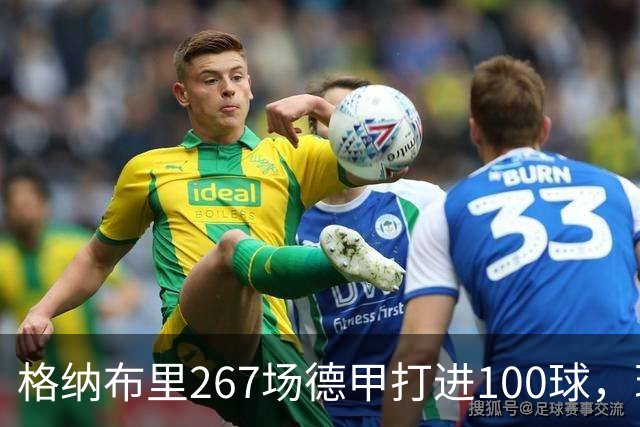 格纳布里267场德甲打进100球，现役德甲球员中第三位百球先生