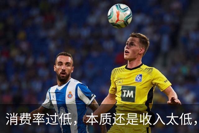 消费率过低，本质还是收入太低，提高分配收入才是重点