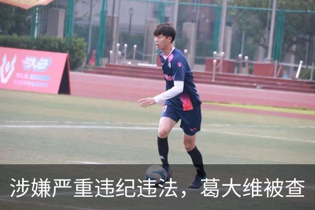 涉嫌严重违纪违法，葛大维被查