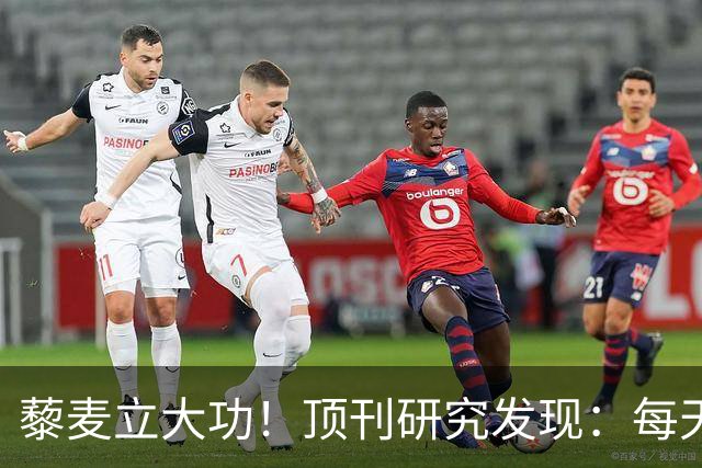 藜麦立大功！顶刊研究发现：每天50克降脂护肝，4个月肝指标好转