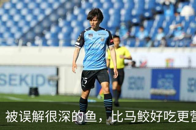 被误解很深的鱼，比马鲛好吃更营养，鱼肉似“千层糕”，我国独有