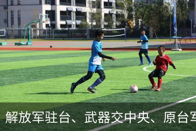 解放军驻台、武器交中央、原台军解散？一场讨论会为何让岛内炸锅